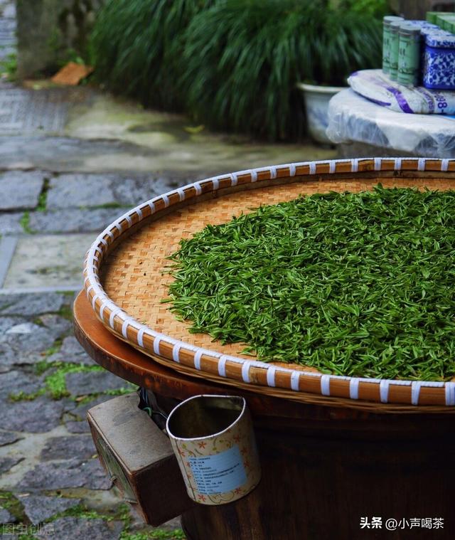 西湖龙井是什么茶，西湖龙井是红茶还是绿茶（认识名茶，一文了解西湖龙井）