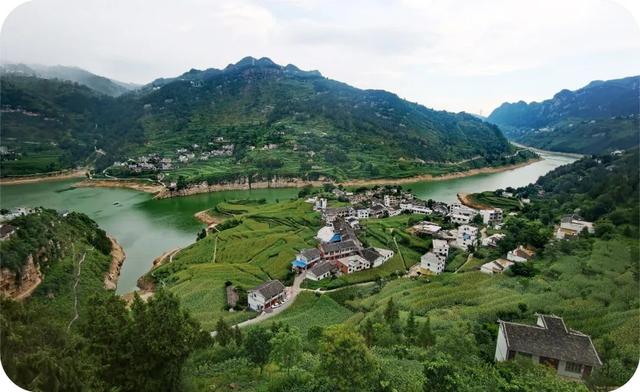 什么的高粱，正是河谷高粱扬花时
