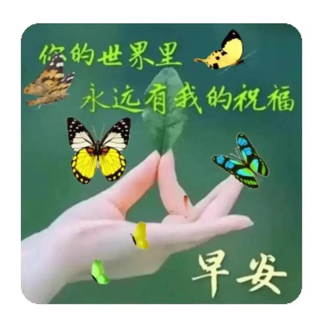 03年属什么生肖，03年属什么（2023年04月03日）