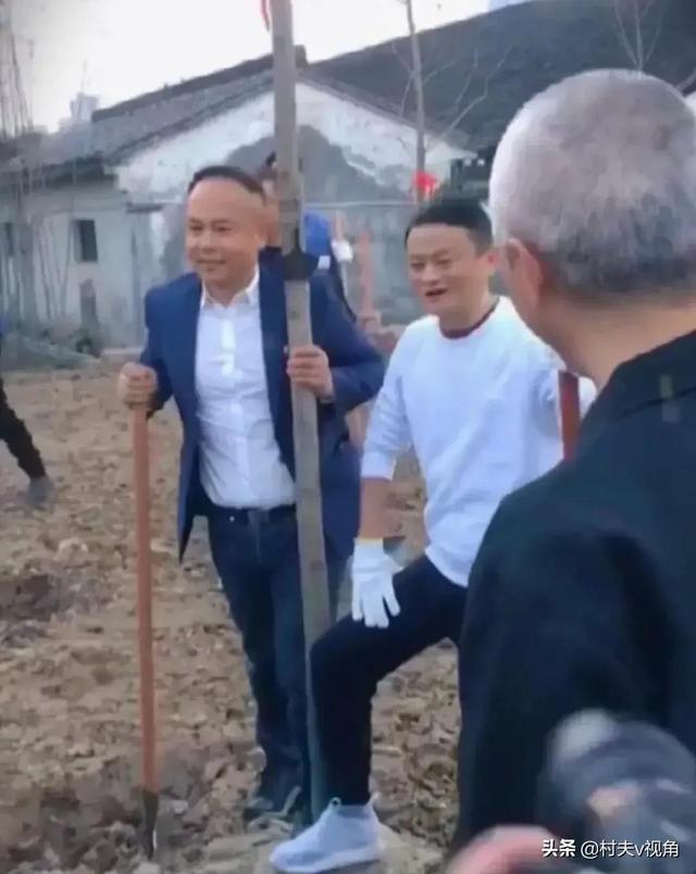 马某某 杭州是谁，马某某案件是谁（马某某真实身份曝光）