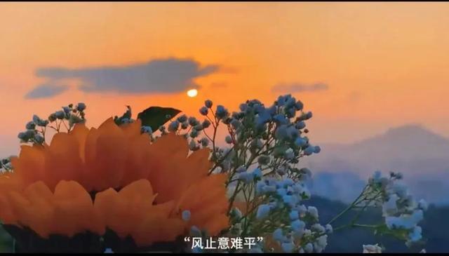 知其不可奈何也，知其不可奈何，而安之若命