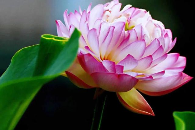 七戒是哪七戒，七戒是哪七戒秒懂百科（人生九戒，你都知道吗）