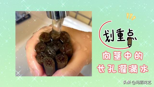 鲜花怎么醒花方法，醒花与不醒花的区别（鲜花睡莲怎么醒花）