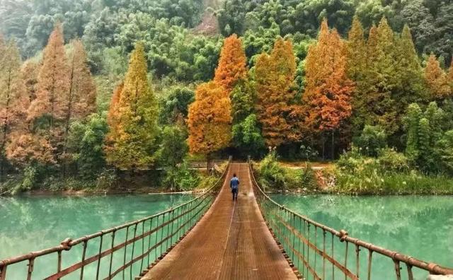 国庆去哪旅游好，国庆节去哪里旅游合适（10个宝藏景点get雅安最美秋色）