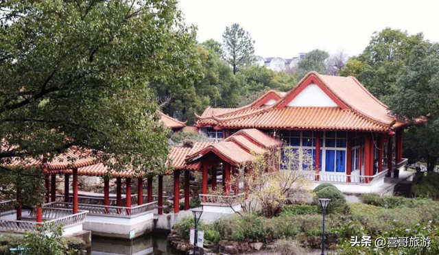 北仑森林植物园，宁波市12月份适合旅游的地方（浙江宁波市北仑区值得游玩的旅游景点有哪些）