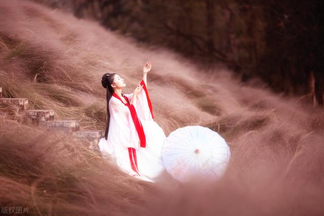 飞鸟与鱼不同路，山鸟与鱼不同路意思（绝美古诗赏识：飞鸟与鱼）