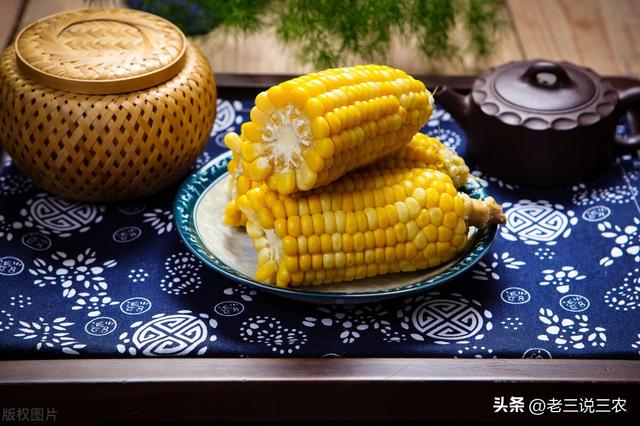 米糠的功效与作用，小米糠的功效与作用（医生告诉你答案，早知道早受益）