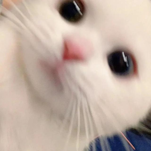 超甜的情侣头像，超级甜的情头微信（130张情侣、闺蜜头像）