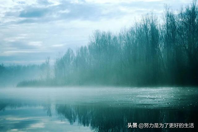 我姓杜--为余驾飞龙兮,杂瑶象以为车.