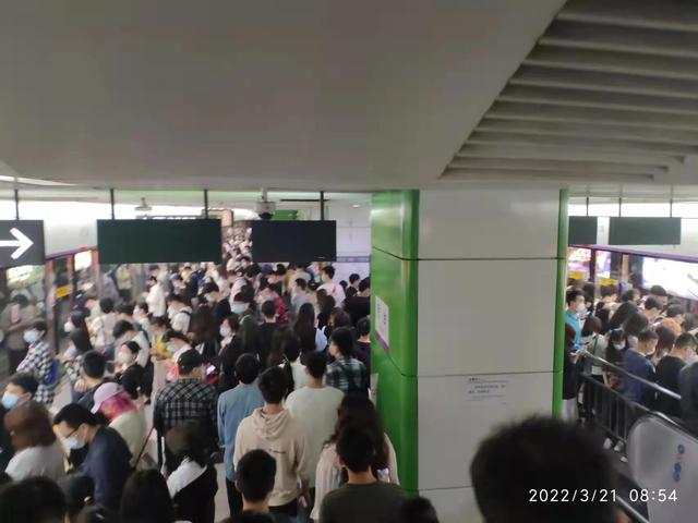 平平淡淡简单的幸福，平平淡淡简单的幸福是什么歌（忙忙碌碌地活着）