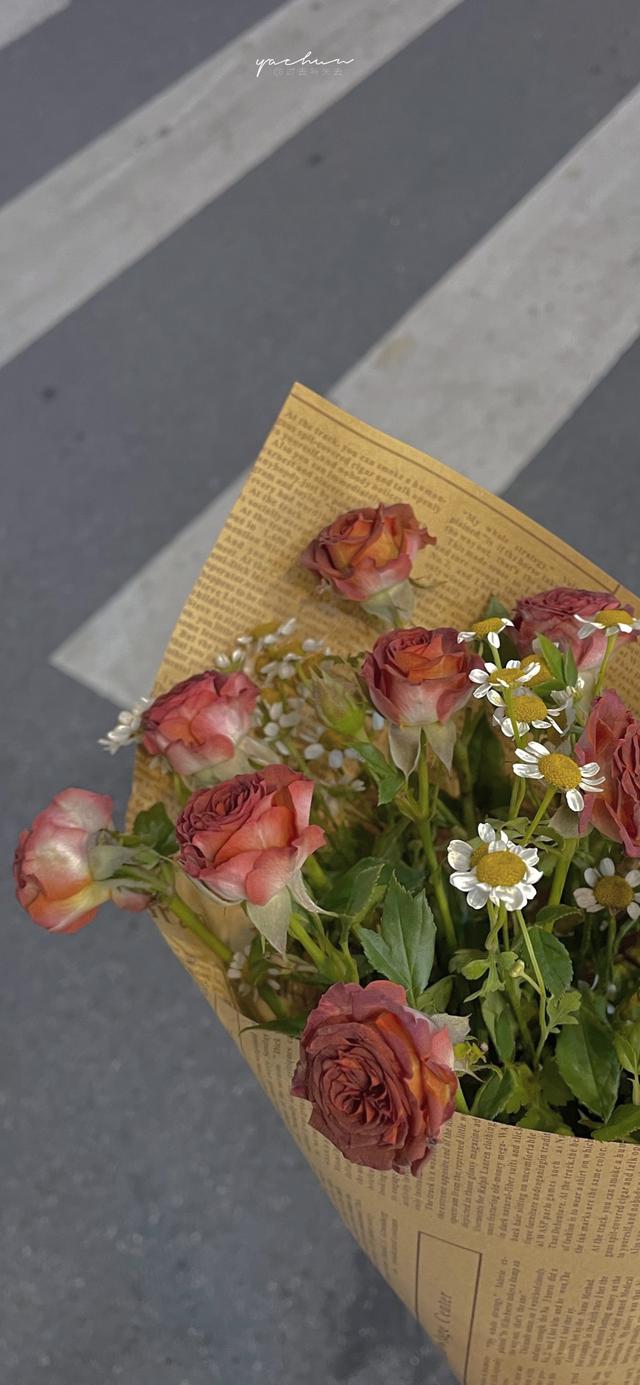 也许全世界我也可以放弃是什么歌，“就算全世界我都可以放弃”（哪首歌里的词最能表达爱意）