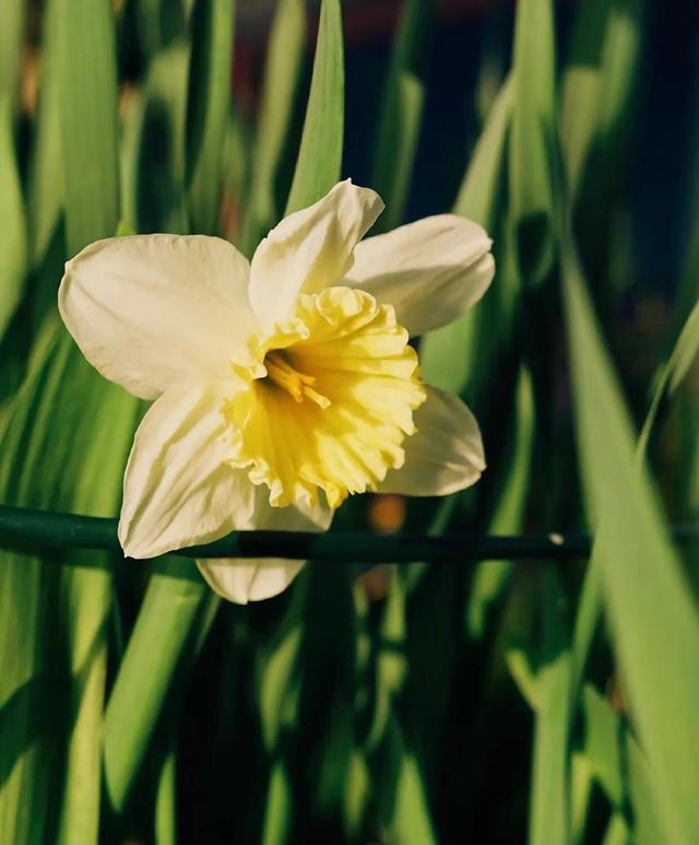 时间煮雨是什么意思，煮雨是什么意思（唯美文艺浪漫诗句）