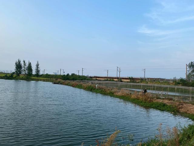 养殖泥鳅投资多少钱，养殖泥鳅要投资多少钱（农村人搞养殖去年天灾亏了20万本钱）