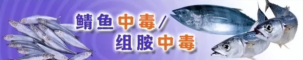 鲱鱼在中国叫什么鱼，鲱鱼怎么做好吃（“发物”鲭鱼为什么会发）