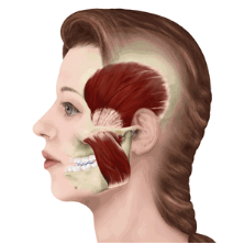 如何快速瘦脸，如何快速瘦脸瘦下巴（这几个习惯让你大饼脸变小v脸）