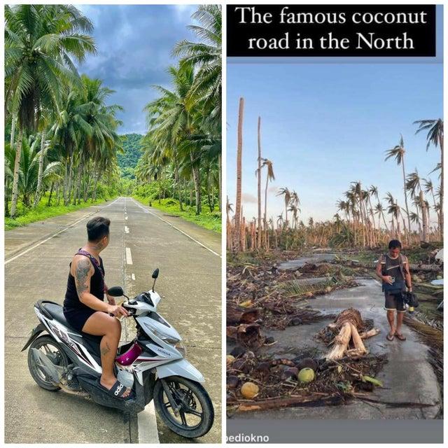 世界灭绝的动物名单，世界灭绝的动物名单网站（30张活久未见的照片）