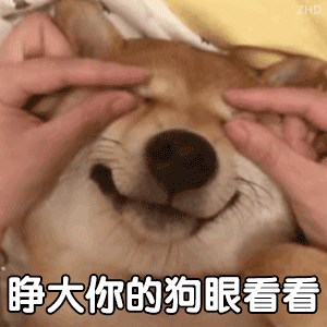 萌宠表情包，微信头像，萌宠表情包（萌宠表情包：我的爱是垃圾吗）