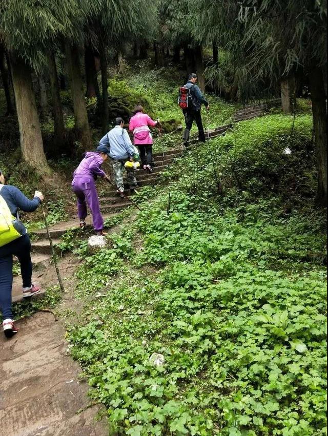 天台山旅游攻略，天台山旅游攻略大全（享受当下冬日的清闲与暖意）