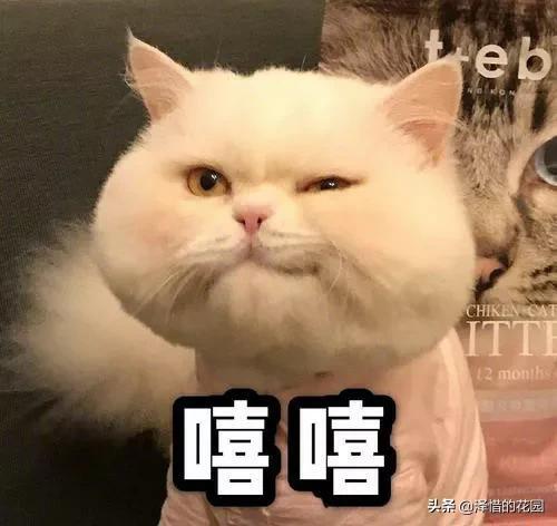 原始股和股权的区别有哪些，股权跟原始股的区别（股权和股份的区别）