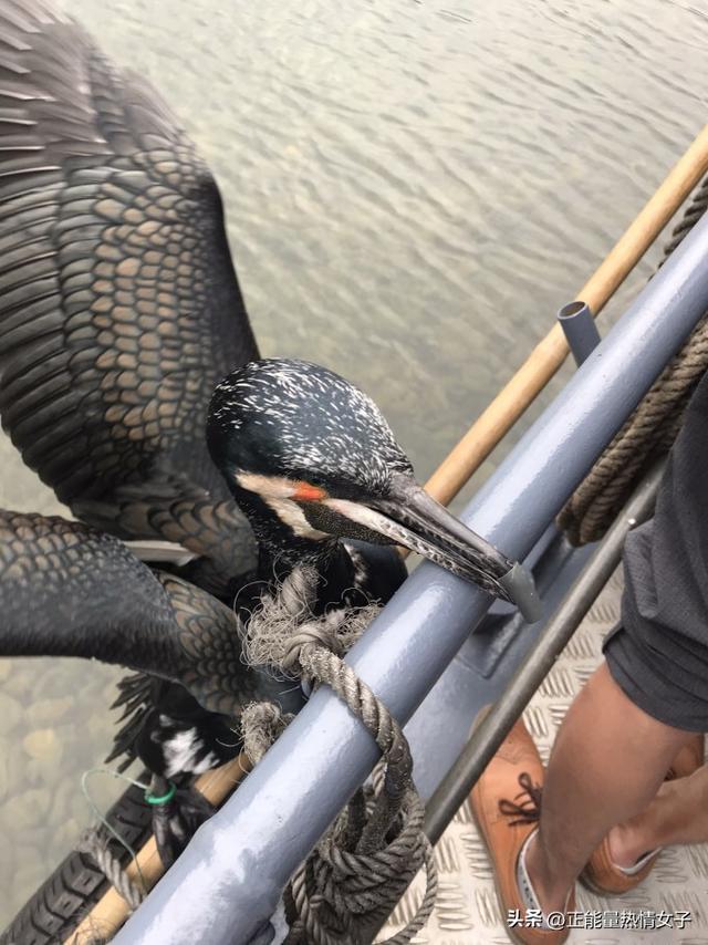 自驾游桂林旅游攻略3天，桂林旅游自驾游攻略三天（躺在阳朔山水画卷里的三天自驾游）