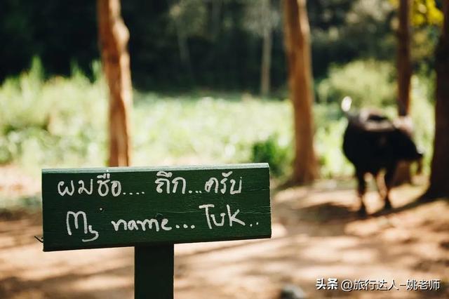 安纳塔拉度假会，阿布扎比安纳塔拉度假村（泰北，丛林野奢OR城市度假）