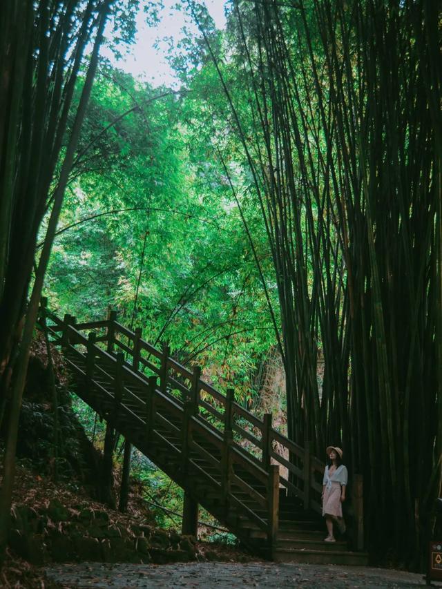 附近的景点哪里好玩的地方，附近旅游点好玩的地方在哪里（成都周边10处踏青好耍地）