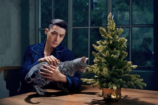 胡歌与刘涛合作过哪部古装电视剧，胡歌与刘涛合作过哪部古装电视剧名字（新剧《县委大院》终于官宣）