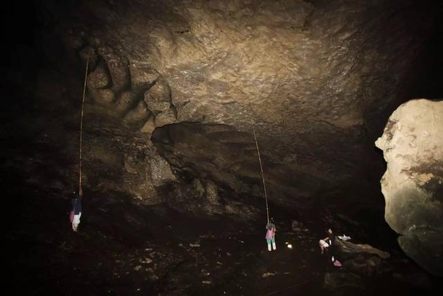 燕窝多少钱一斤，燕窝价格多少一斤（小哥筑屋引燕一个月产5斤燕窝）