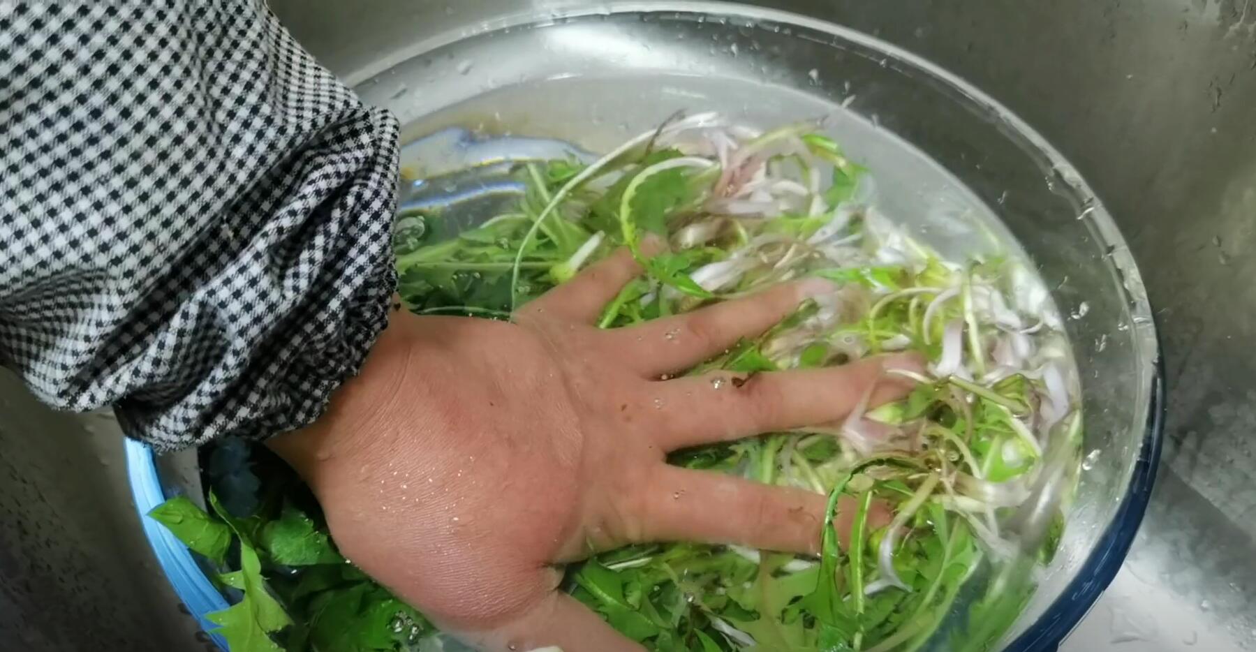 护肝第一名的野菜，养肝护肝第一名（藏在草丛中的“护肝猛将”）