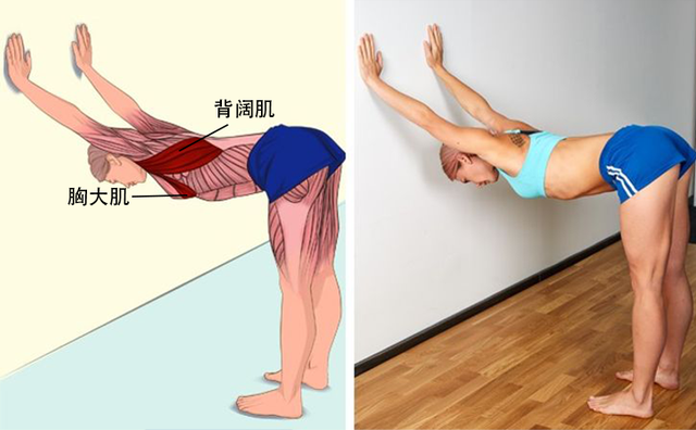 运动完不拉伸会怎样，健身完不拉伸有什么危害（助你学会拉伸，减肥事半功倍）