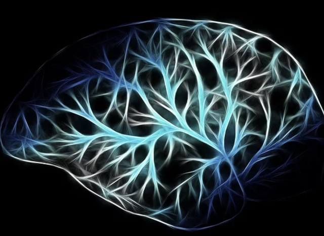 酒精喝了会怎么样，白酒和啤酒一起兑着喝结果会怎么样（酒精会让人体发生10种变化）