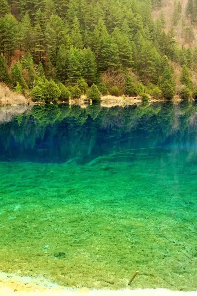 春天去哪里旅游好，这才是春天最值得去的20个地方（中国最美的30个地方）