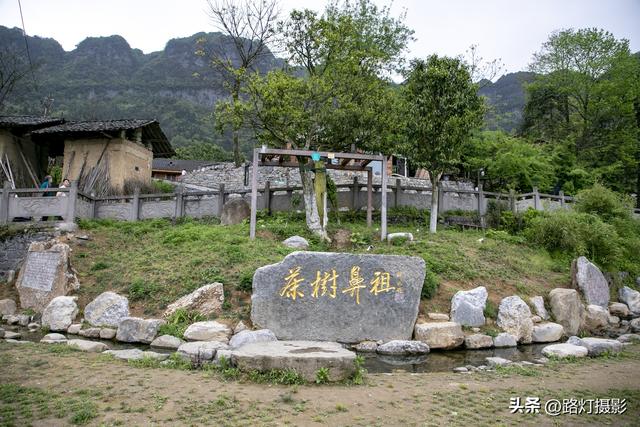 南川区十大必去景点，环金佛山178公里