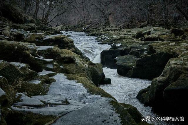 引发深海恐惧症的原因有哪些，深海恐惧症的特征（原来是人类进化出来保护自己的）