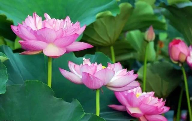 七戒是哪七戒，七戒是哪七戒秒懂百科（人生九戒，你都知道吗）