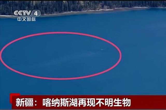喀纳斯湖水怪真相，喀纳斯湖水怪揭秘（新疆喀纳斯湖再现不明水生物）