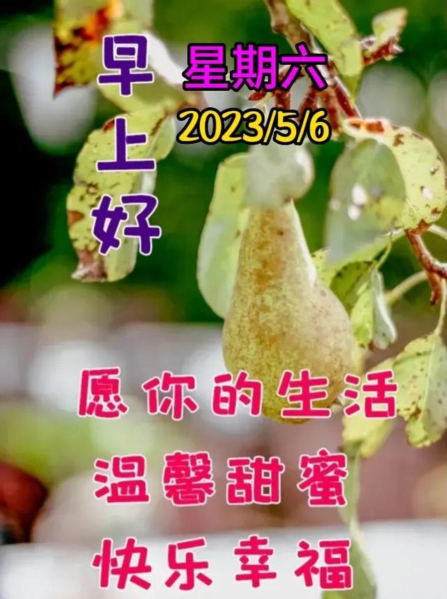 早安问候语每日更新，早上好短句早安问候语每日更新（亲切的暖心问候语）