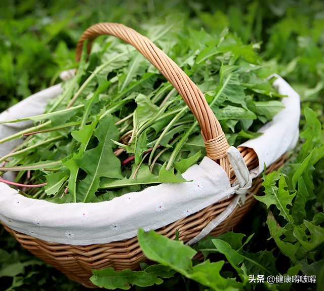 谷雨养生喝什么茶 谷雨时节喝5款茶祛湿润燥，谷雨养生喝什么茶（给一年健康打好基础）
