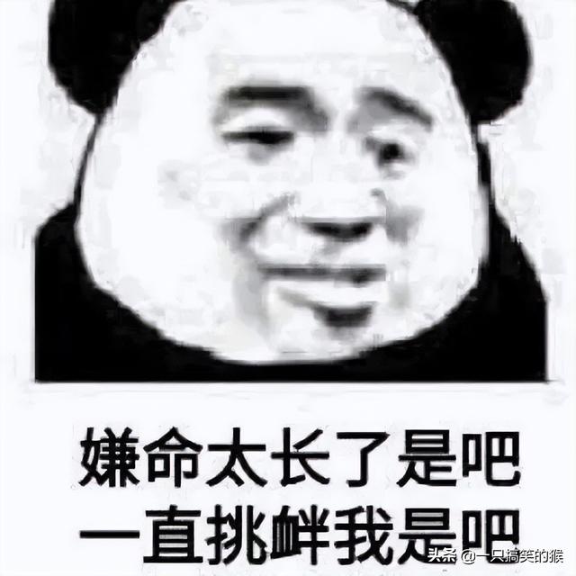 学车时不要跟教练聊太多，学车时和教练的“高质量”对话