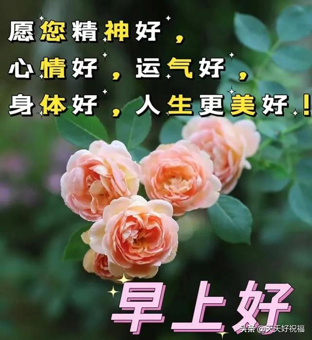 七开头的成语祝福，七字开头的成语祝福语（开心就对；健康长寿）