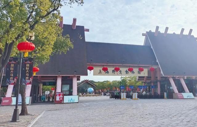 我、天一和小旭都去了上海野生动物园，强烈推荐去玩一次！