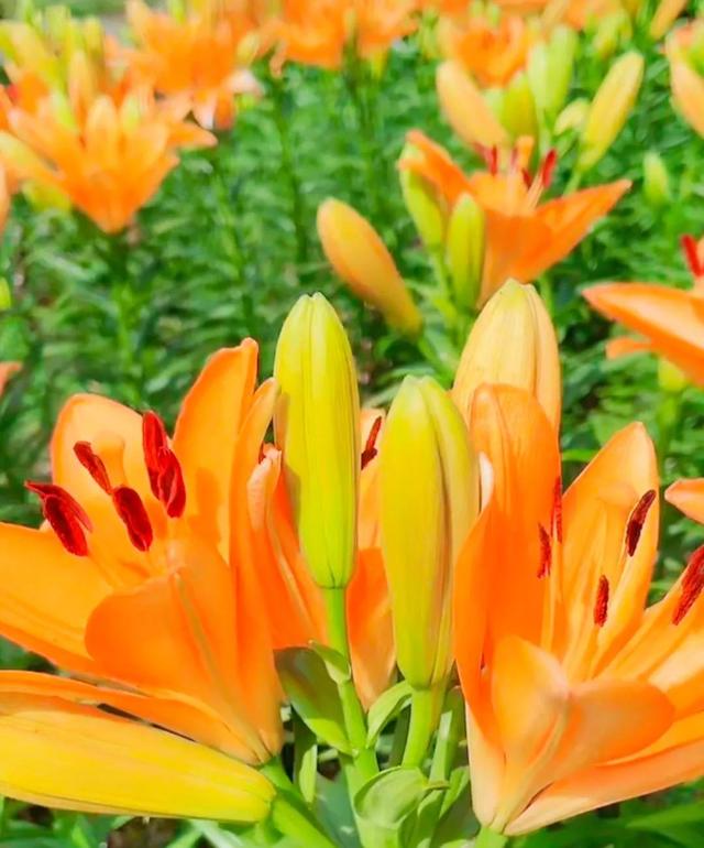 努力的意义是什么，努力的意义是什么图片（女人努力的意义是什么）