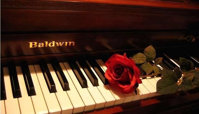 有哪些优秀的双钢琴曲目，好听的双钢琴曲目（车尔尼钢琴练习曲有什么特点）