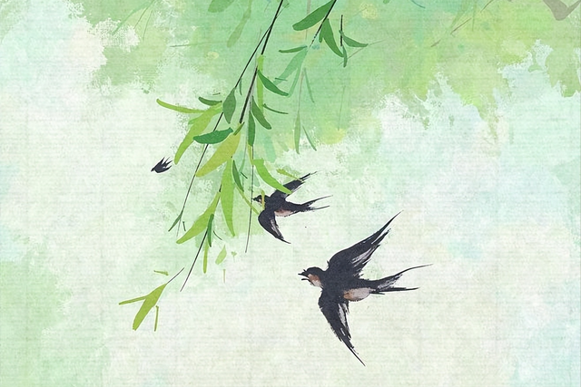 描写水的诗句有哪些，古诗描写水的诗句有哪些（30个关于“水”的古诗词）