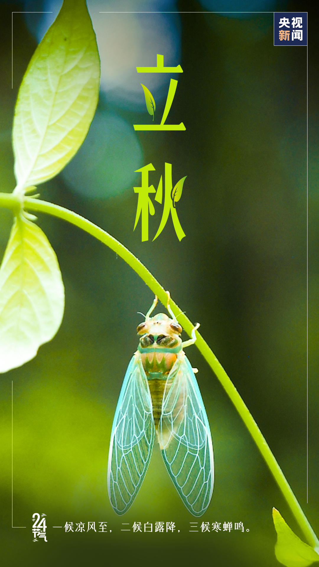 今天是立秋(明天几点立秋2022年)