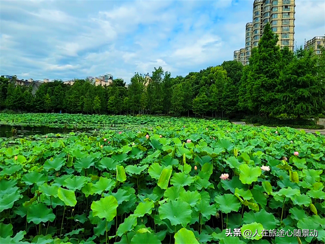 江北是哪个省哪个城市，中国江北是指哪里（选择宁波江北区来看看）