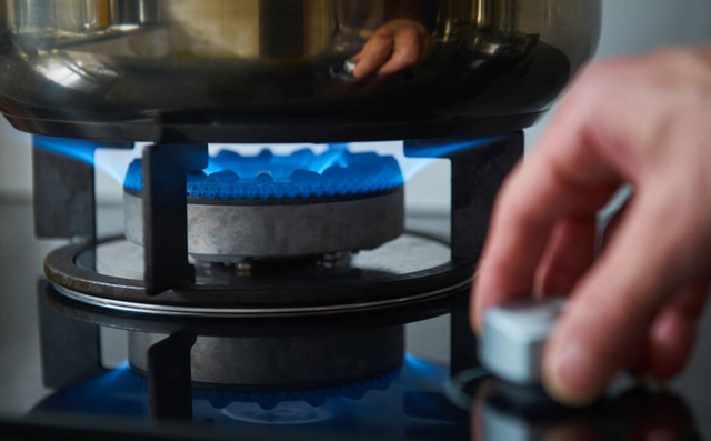 家用燃气灶怎么选，口碑最好的十大燃气灶品牌（燃气灶“五不买”：相信我）