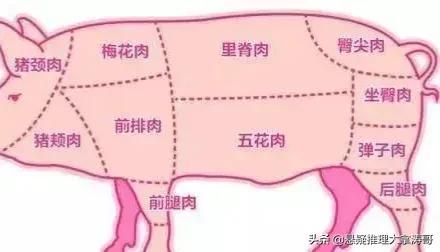 里脊肉是鸡肉吗，小摊上吃的里脊肉是鸡肉吗（《向往的生活6》张艺兴分不清猪肉和里脊肉）