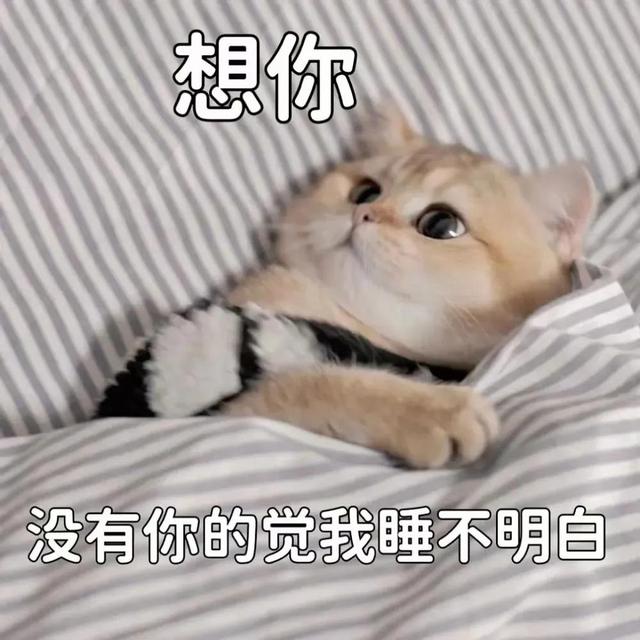 猫猫表情包，猫猫虫表情包（你家里是开幼儿园的吗图片）