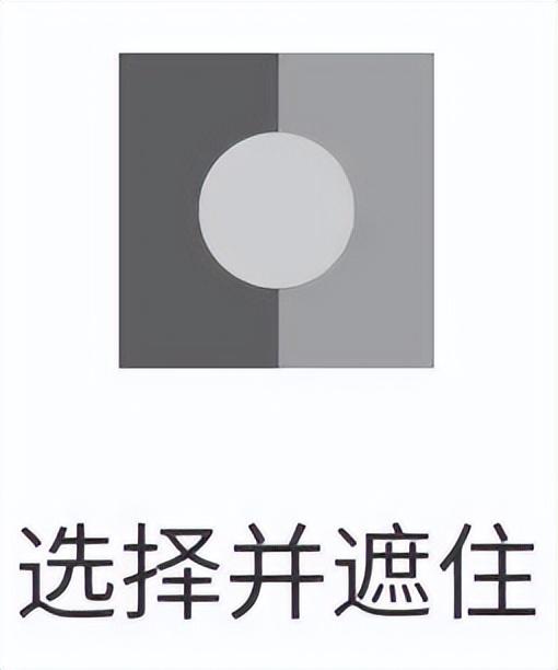 套索工具怎么抠图，如何利用Photoshop的套索工具抠图（保姆级抠图教程1）